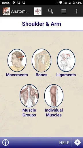 Скриншот 2 — AnatomyMapp