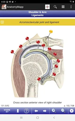 Скриншот 6 — AnatomyMapp