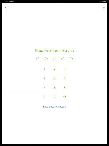Скриншот 5 — Мобильная инспекция