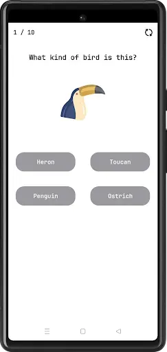 Скриншот 3 — Birds Quiz