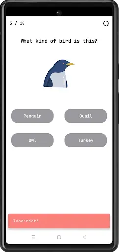 Скриншот 5 — Birds Quiz
