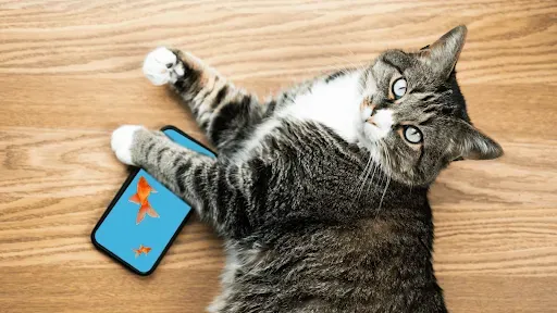Скриншот 6 — Игры для Кошек: Мышка для кота
