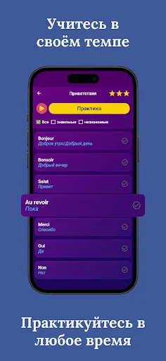 Скриншот 3 — Учите французский