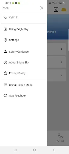 Скриншот 5 — Bright Sky NZ