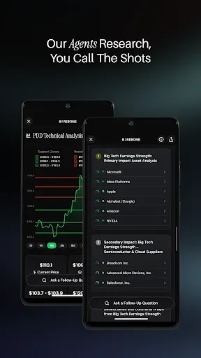 Скриншот 2 — Barebone - AI Finance Research