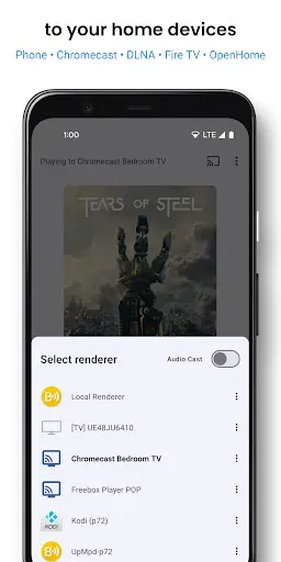Скриншот 2 — BubbleUPnP UPnP/DLNA License