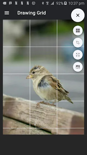 Скриншот 1 — Drawing Grid