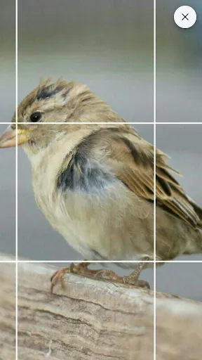Скриншот 4 — Drawing Grid