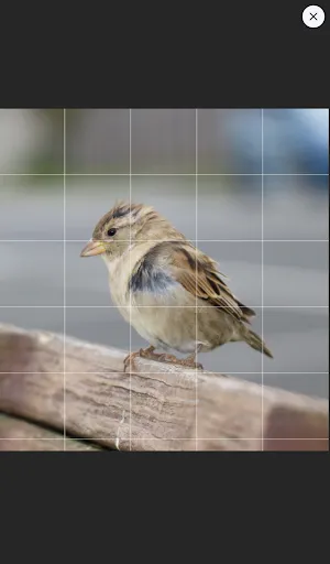 Скриншот 5 — Drawing Grid