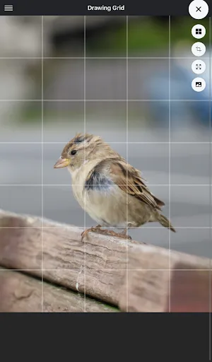 Скриншот 8 — Drawing Grid