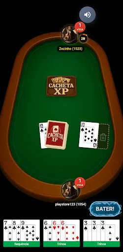 Скриншот 3 — Cacheta XP
