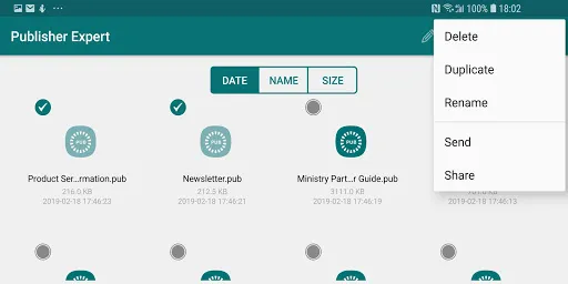 Скриншот 7 — Publisher: for MS Publisher