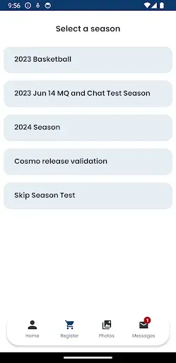 Скриншот 3 — LMSS