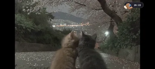 Скриншот 8 — Capy Timer: Focus & Sleep