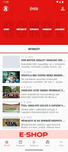 Скриншот 1 — Sokol