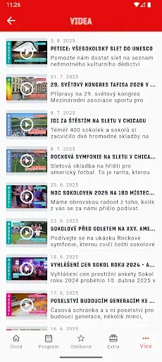 Скриншот 2 — Sokol