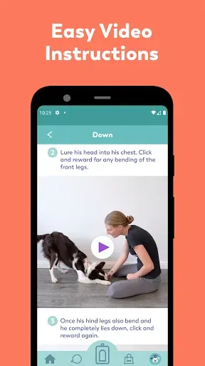 Скриншот 3 — Puppr - Dog Training & Tricks