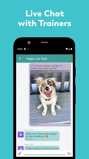 Скриншот 4 — Puppr - Dog Training & Tricks