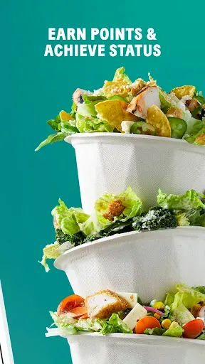 Скриншот 2 — CHOPT