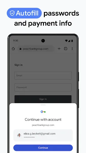 Скриншот 2 — Chrome Beta