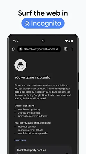Скриншот 6 — Chrome Beta