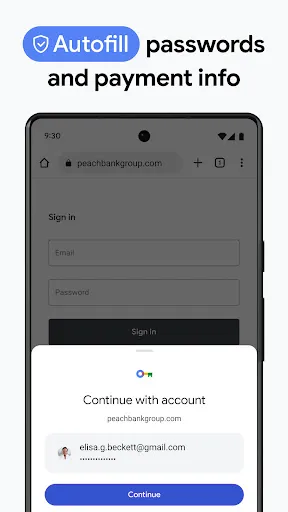Скриншот 2 — Chrome Dev
