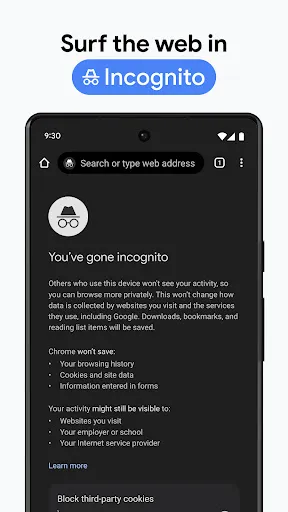 Скриншот 6 — Chrome Dev