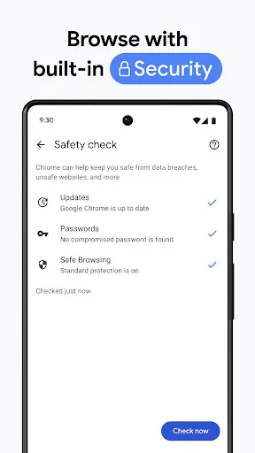 Скриншот 7 — Chrome Dev