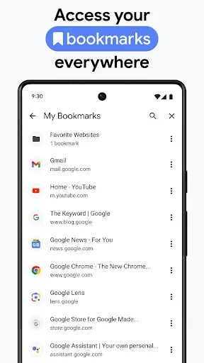 Скриншот 8 — Chrome Dev