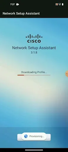 Скриншот 2 — Cisco Network Setup Assistant