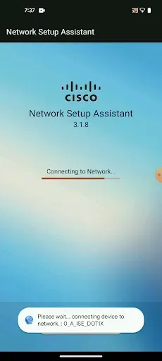 Скриншот 4 — Cisco Network Setup Assistant