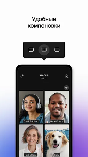 Скриншот 6 — Webex