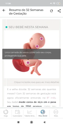 Скриншот 2 — Minha Gravidez por Paula