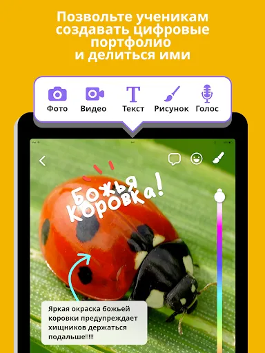 Скриншот 8 — ClassDojo: в школе и дома
