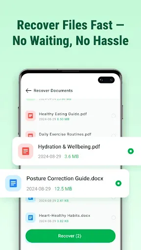 Скриншот 4 — File Recovery Master