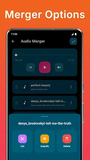 Скриншот 5 — Audio Merger and MP3 Joiner