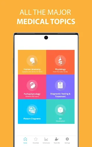Скриншот 1 — Medical Terminology Learning Q