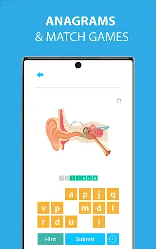 Скриншот 3 — Medical Terminology Learning Q