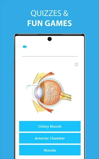 Скриншот 5 — Medical Terminology Learning Q