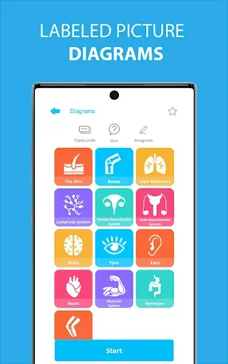 Скриншот 6 — Medical Terminology Learning Q
