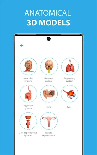 Скриншот 7 — Medical Terminology Learning Q