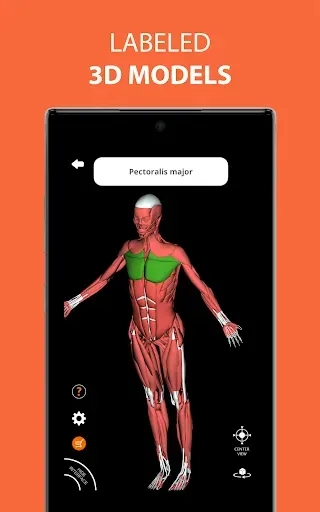 Скриншот 8 — Medical Terminology Learning Q