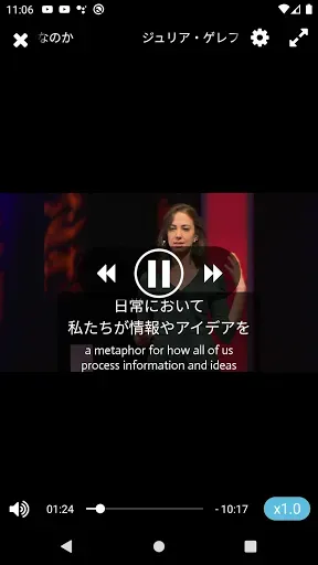 Скриншот 4 — TEDICT