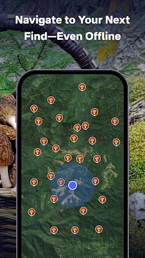Скриншот 2 — Mushroom Finder:Mushroom Spots