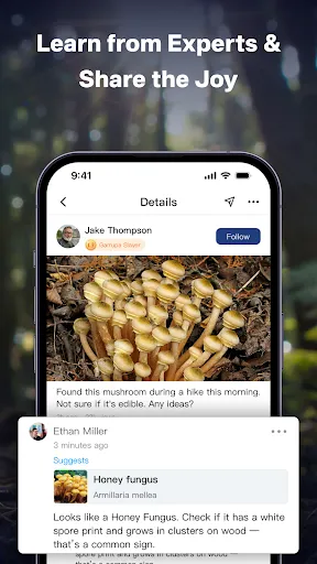 Скриншот 5 — Mushroom Finder:Mushroom Spots