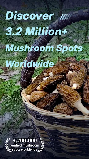 Скриншот 7 — Mushroom Finder:Mushroom Spots