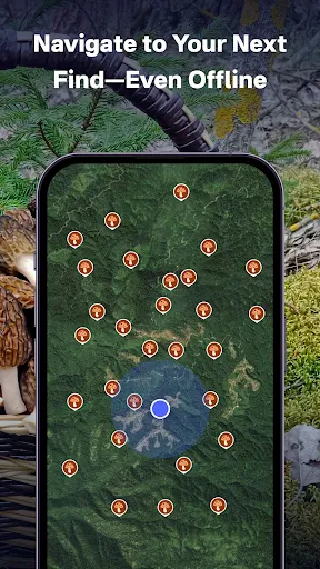 Скриншот 8 — Mushroom Finder:Mushroom Spots