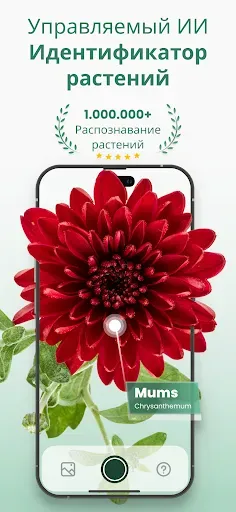Скриншот 1 — Plantify Определитель Растений