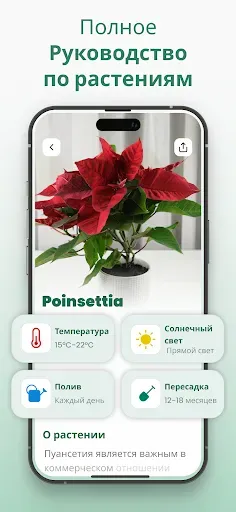 Скриншот 2 — Plantify Определитель Растений