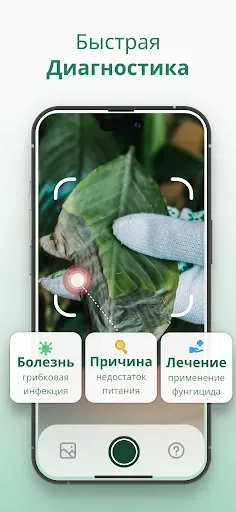 Скриншот 4 — Plantify Определитель Растений